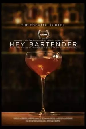 Эй, бармен (2013)