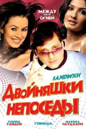 Двойняшки непоседы (2006)