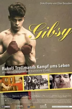 Цыган - борьба за жизнь Рукели Тролльмана (2013)