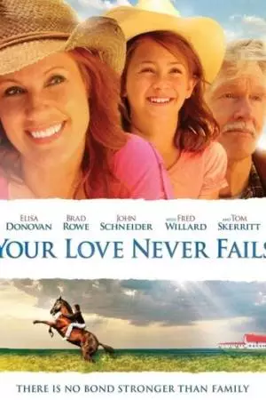 Свидание в День святого Валентина (2011)