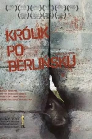 Кролик по-берлински (2009)