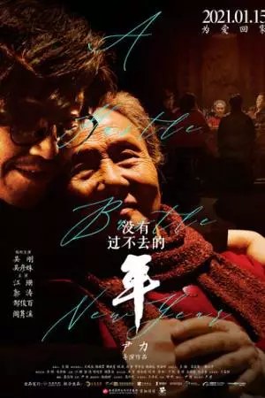 Незабываемый Новый год (2021)