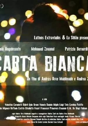 Карт-бланш (2013)