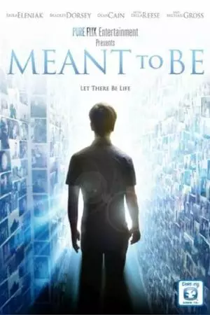 Задуманное (2012)