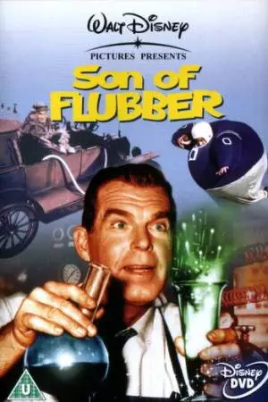 Сын Флаббера (1963)