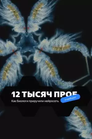 12 тысяч проб (2022)