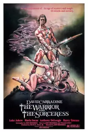 Воин и колдунья (1984)