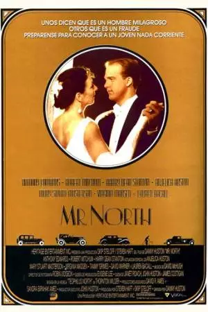 Мистер Норт (1988)