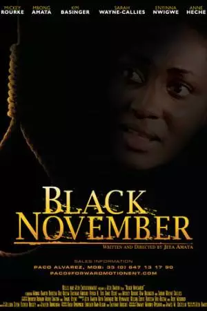 Чёрный ноябрь (2012)