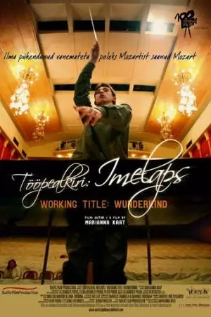 Временно вундеркинд (2012)