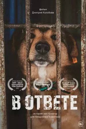 В ответе (2021)