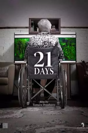 21 день (2014)
