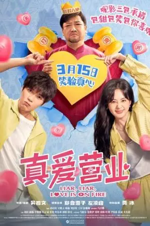 Лжец, лжец, пойдем под венец (2025)