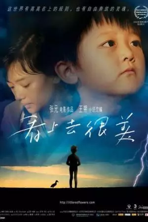 Маленькие красные цветы (2006)