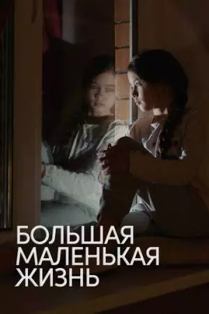 Большая маленькая жизнь (2020)