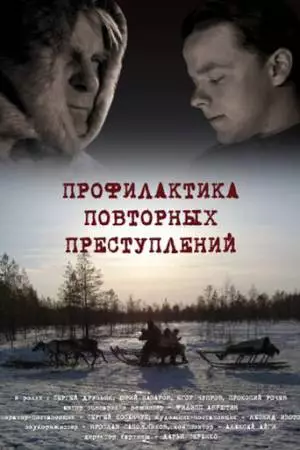 Профилактика повторных преступлений (2008)