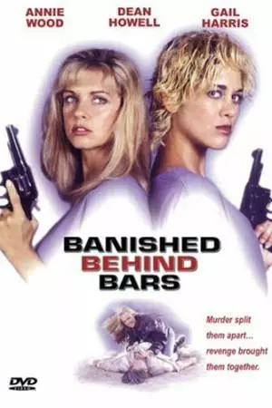 Сестры в камере: Загнанные за решетку (1995)