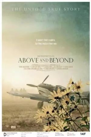 Больше, чем нужно (2014)