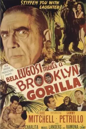 Бела Лугоши знакомится с бруклинской гориллой (1952)