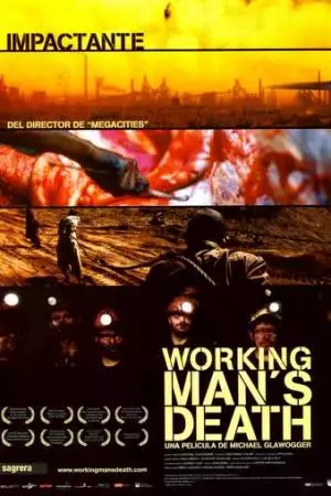 Смерть рабочего (2005)