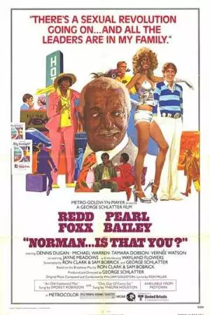 Норман... это ты? (1976)