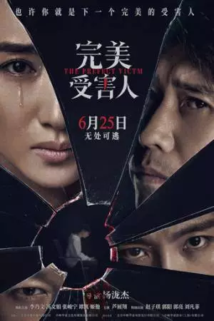 Идеальная жертва (2021)