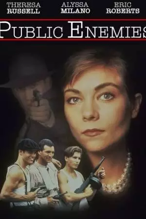 Враг общества № 1 (1996)