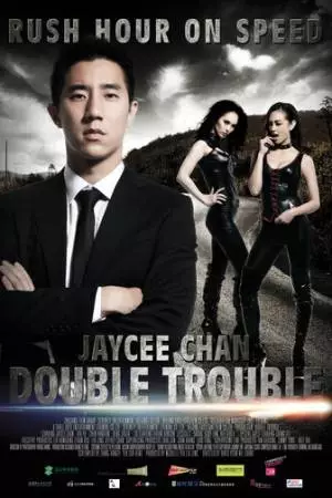 Двойные неприятности (2012)