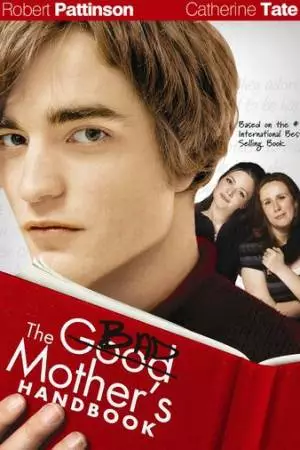 Дневник плохой мамаши (2007)