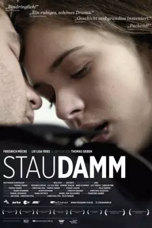 Плотина (2013)