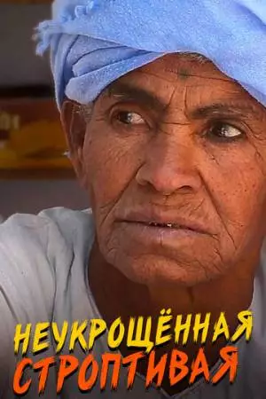 Неукрощенная строптивая (2015)