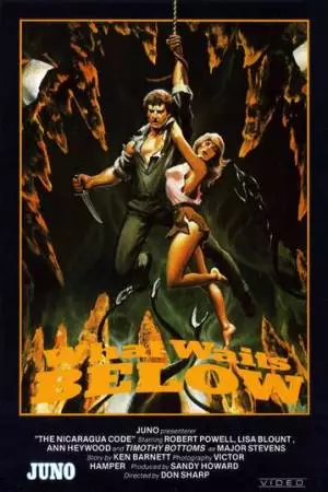 Что ждёт внизу (1984)