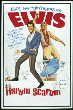 Каникулы в гареме (1965)