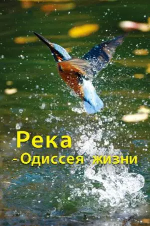 Река - одиссея жизни (2013)