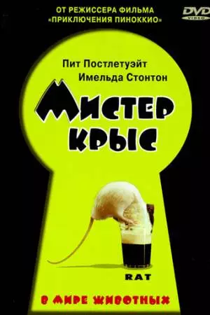 Мистер крыс (2000)