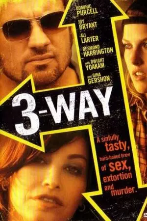 Тройная подстава (2004)