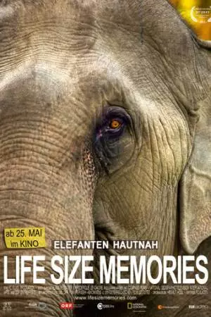 Слоны как они есть (2012)