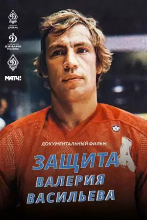 Защита Валерия Васильева (2020)