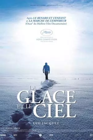 Лёд и небо (2015)