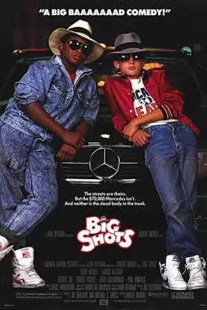 Крупные специалисты (1987)