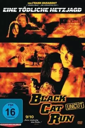 Бег черной кошки (1998)