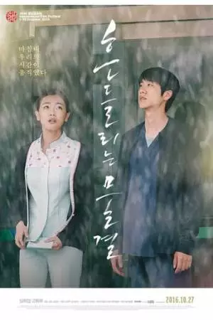 Качающиеся волны (2015)