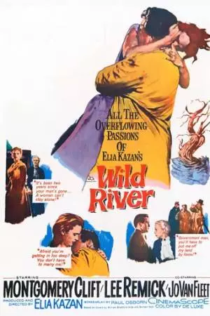 Дикая река (1960)