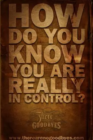 There Are No Goodbyes (2013)