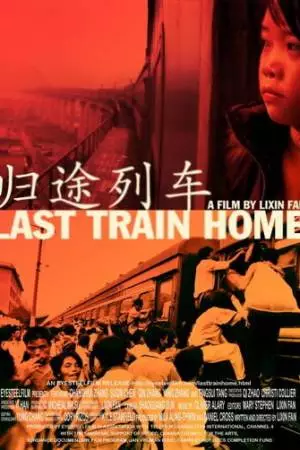 Последний поезд домой (2009)