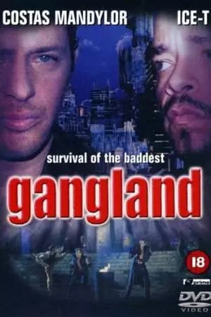 Зона криминала (2001)