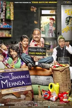 Saare Jahaan Se Mehnga (2013)