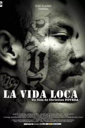 Безумная жизнь (2008)