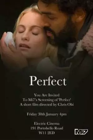 Совершенный (2009)