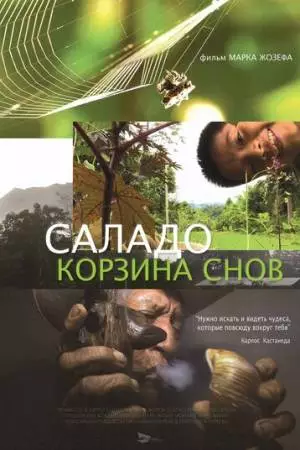 Саладо. Корзина снов (2014)